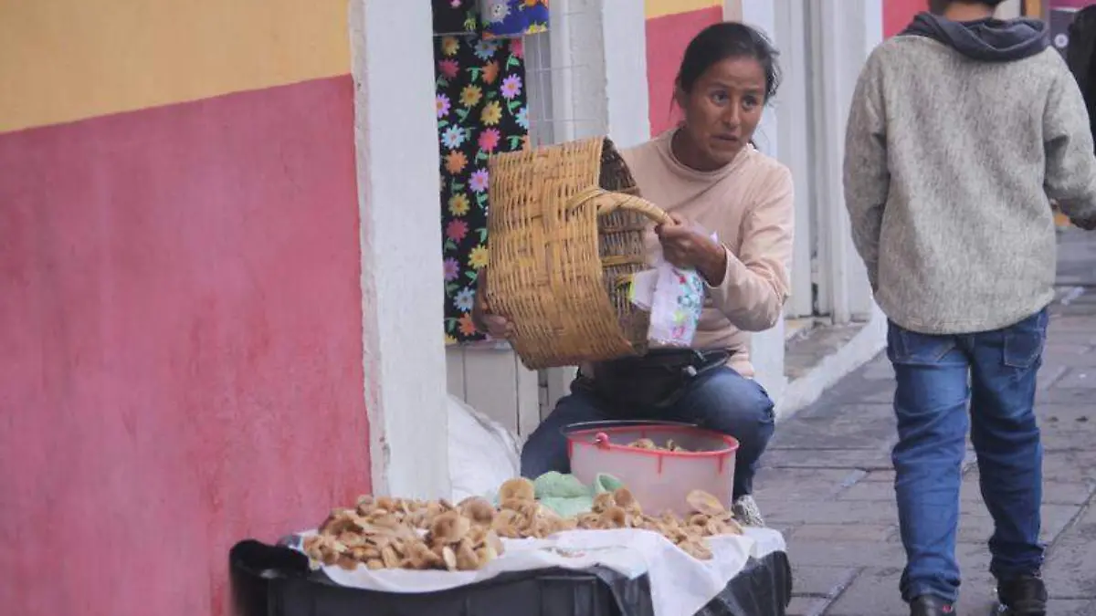 Mujeres de Matamoros municipio de Huamantla comercian hasta en 150 pesos el kilogramo de hongosTOMÁS BAÑOS